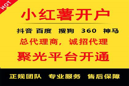 百度竞价排名策略解析：一家公司的广告投放策略全揭秘